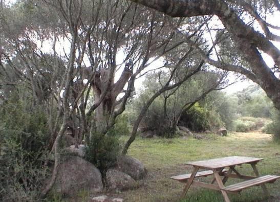 Les Bergeries D'Ogliastrello Figari (Corsica) Exterior foto